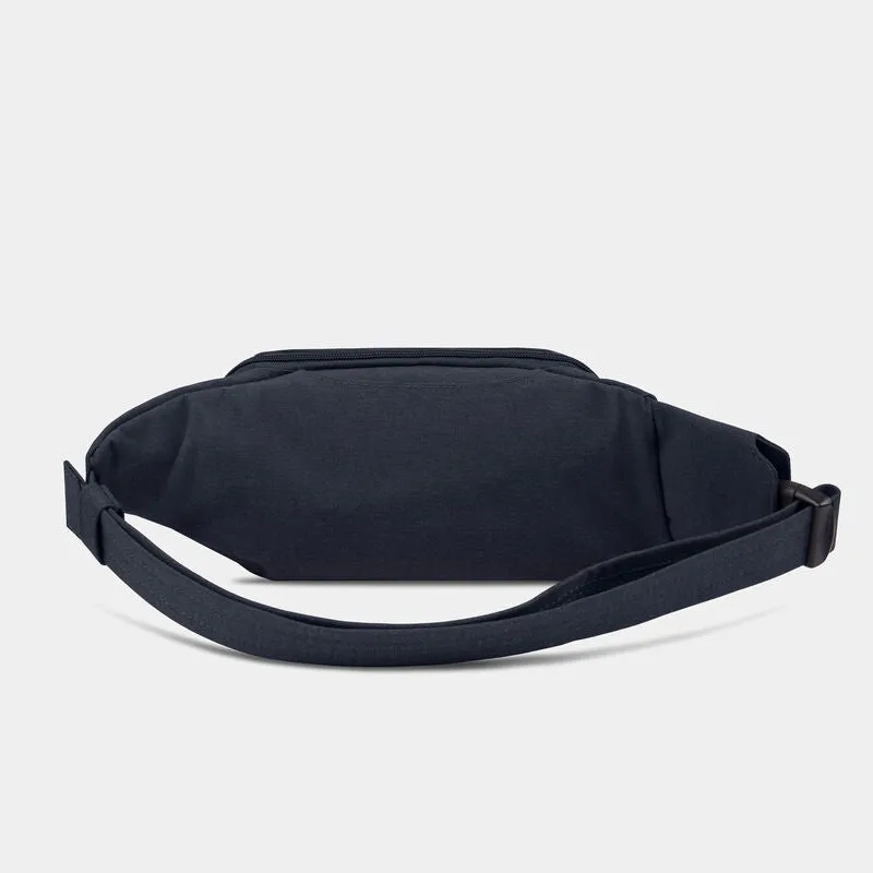 Anti-Theft Waist Pack