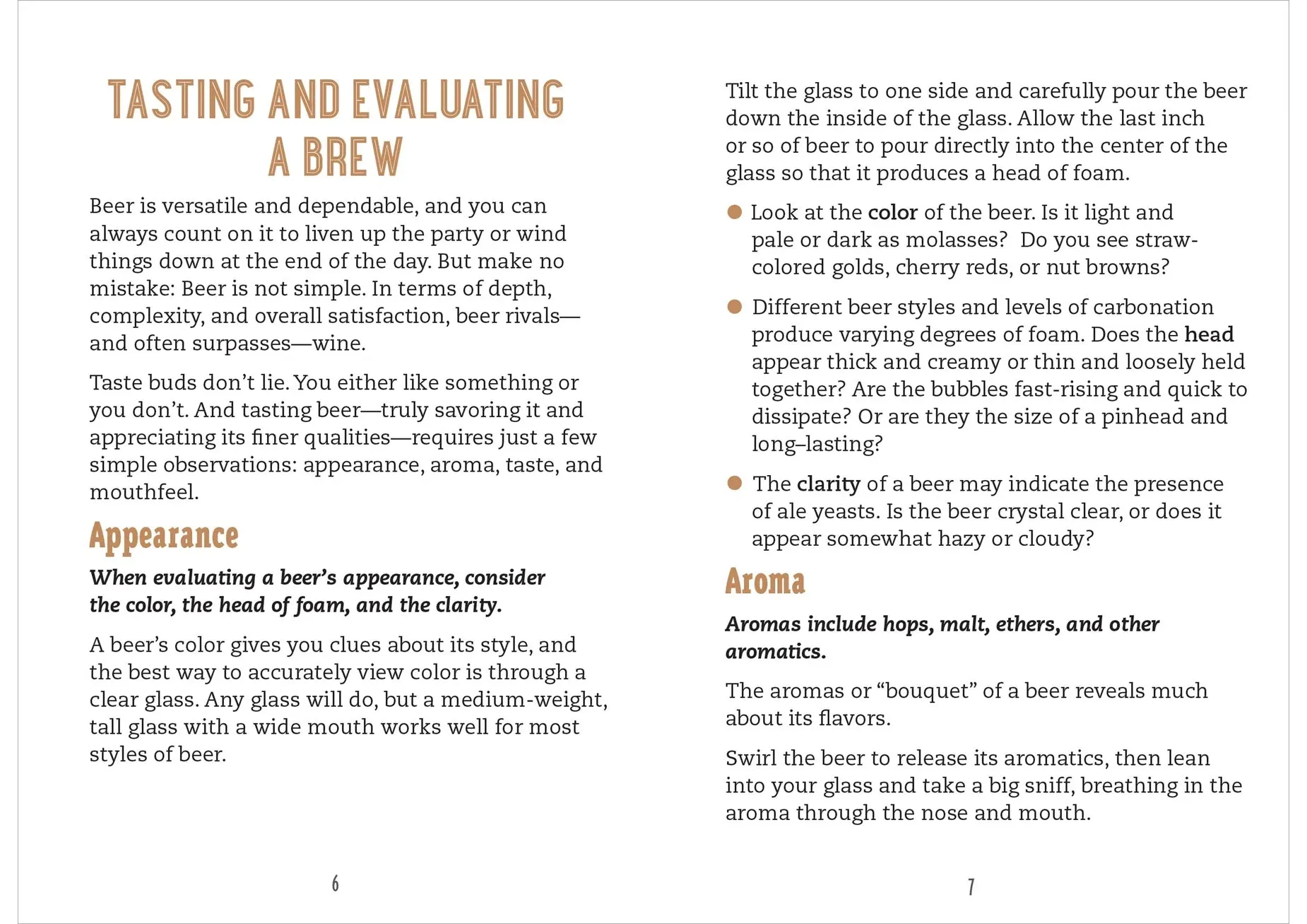 Beer Review Logbook